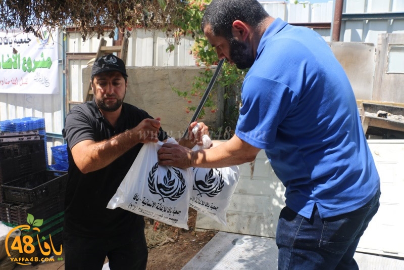 lod8om ada73y (17).JPG